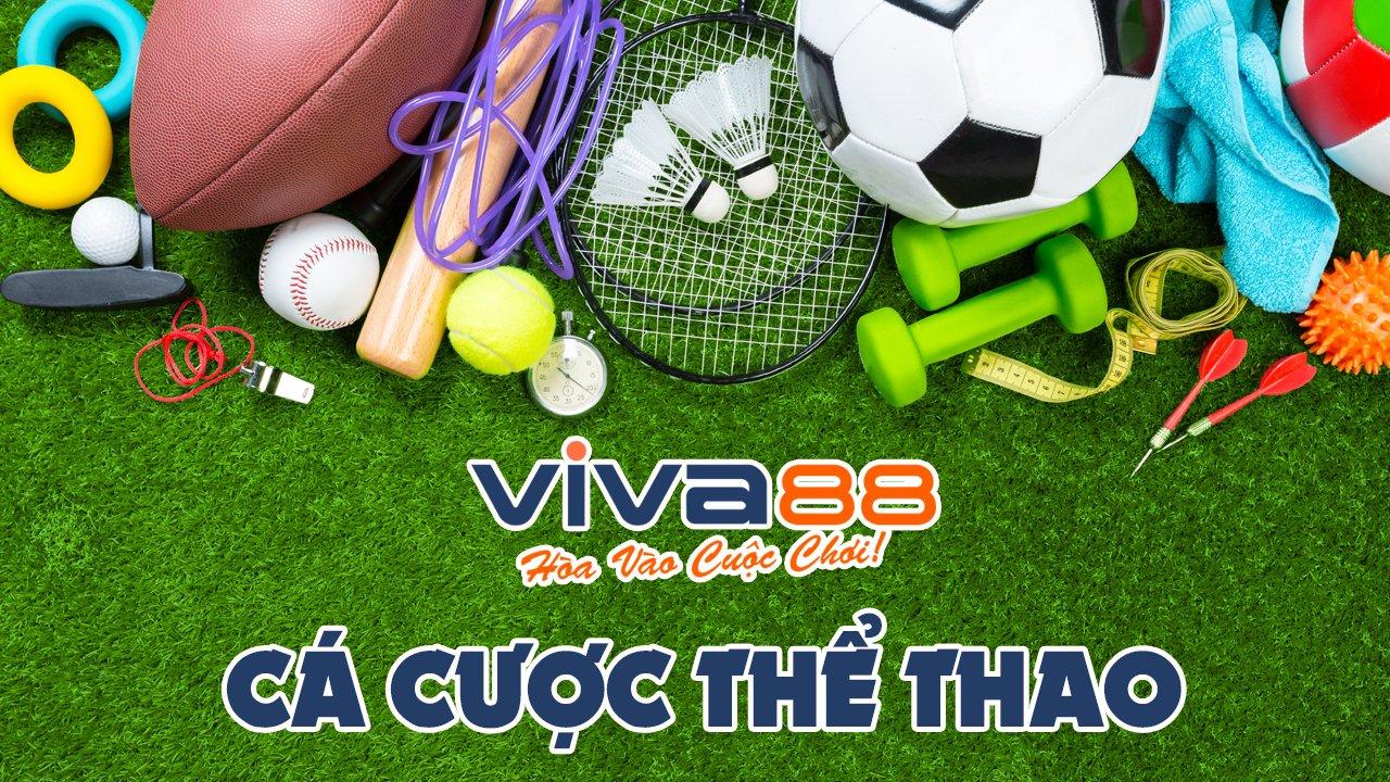 Khám phá bongdaplus và những bí mật thú vị về bongdaplus n